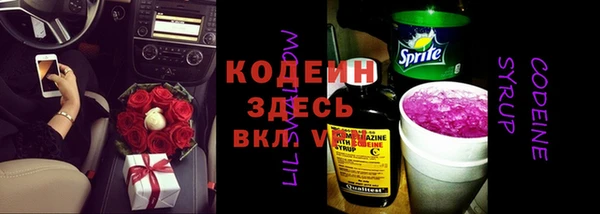 мяу мяу мука Арсеньев