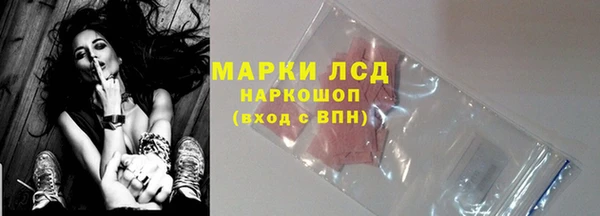 ПСИЛОЦИБИНОВЫЕ ГРИБЫ Дмитриев