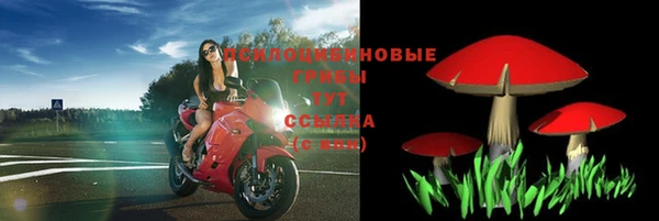 мяу мяу мука Арсеньев
