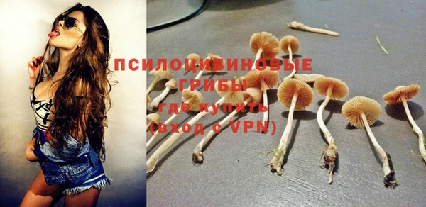 мяу мяу мука Арсеньев